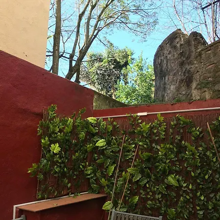 Lejlighed Oasis Ebi00551