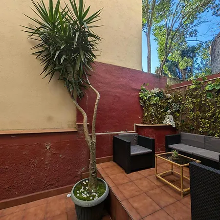 Oasis Ebi00551 *