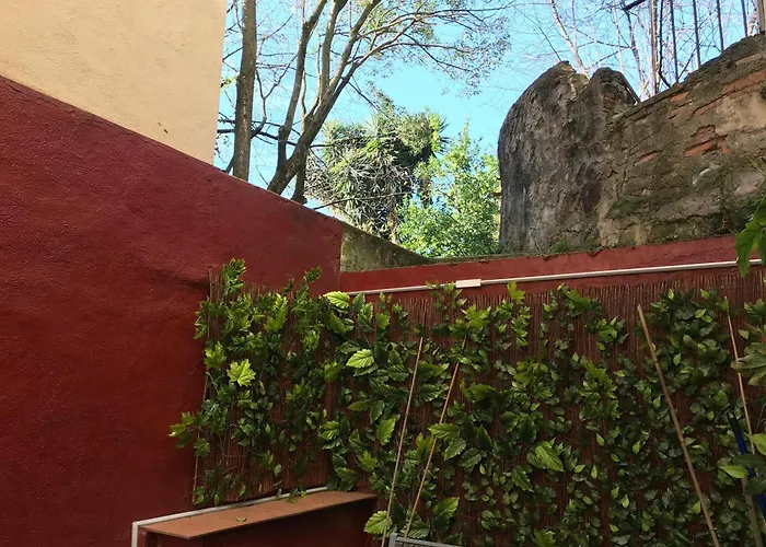 Apartmán Oasis Ebi00551