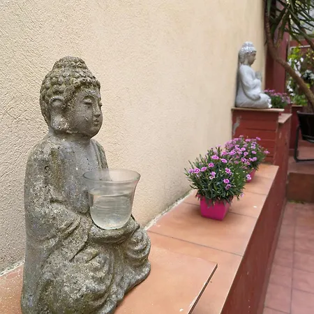 Lejlighed Oasis Ebi00551